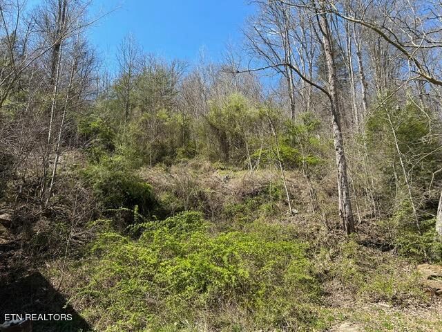 4653 Hwy 25w S, Lafollette, TN 37766