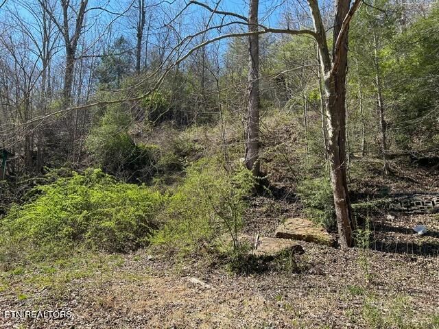 4653 Hwy 25w S, Lafollette, TN 37766