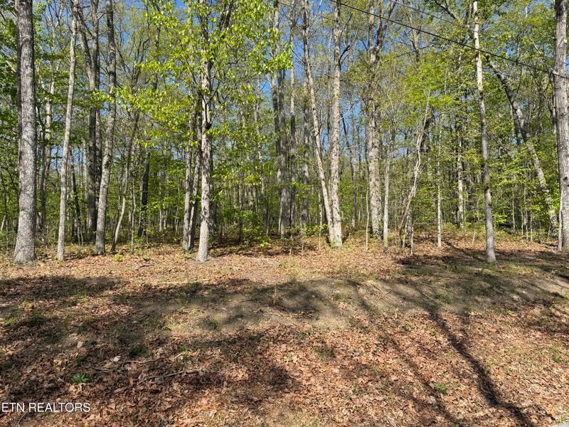 47-49 Cheshire Ter, Crossville, TN 38558