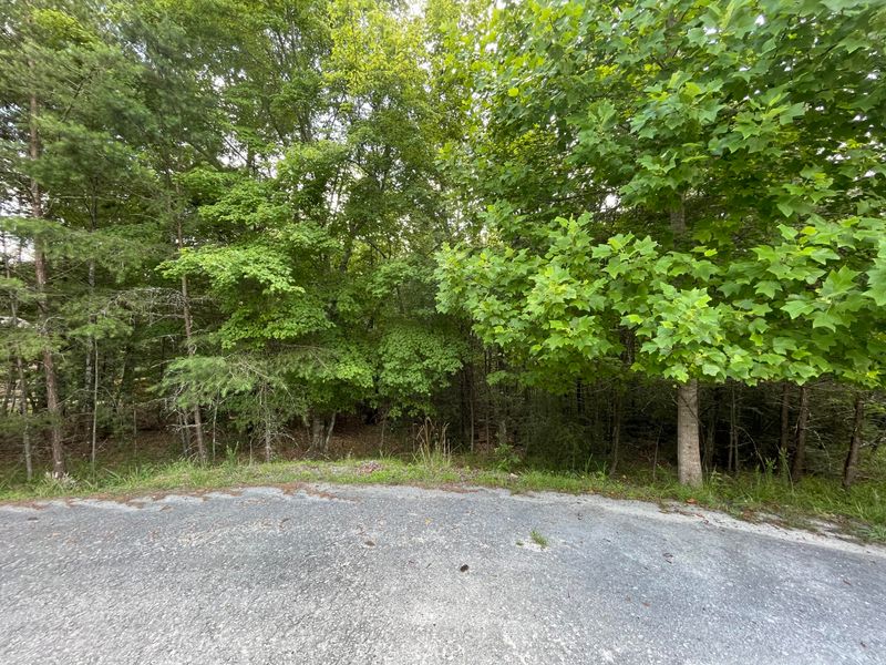 47 Renwick Dr, Crossville, TN 38558