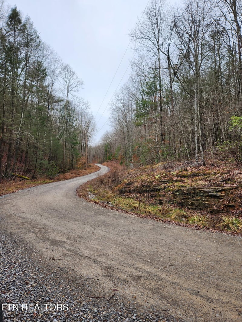 470 Bear Branch Rd, Wartburg, TN 37887