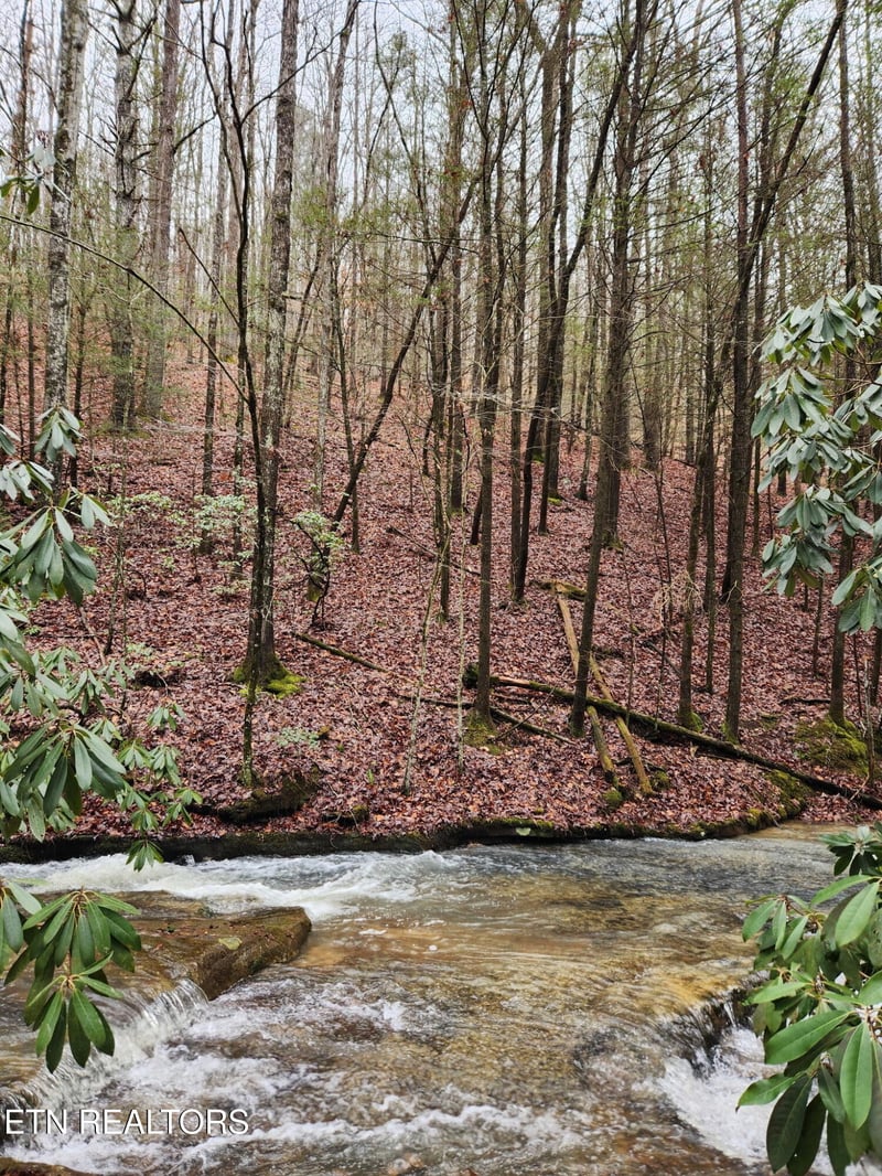 470 Bear Branch Rd, Wartburg, TN 37887