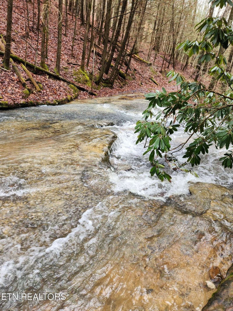 470 Bear Branch Rd, Wartburg, TN 37887