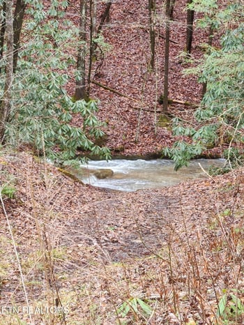 470 Bear Branch Rd, Wartburg, TN 37887