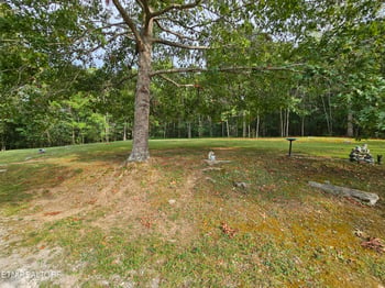 471 Braden Chapel Rd, Speedwell, TN 37870