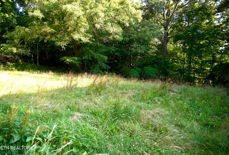 471 Central View Rd, Andersonville, TN 37705