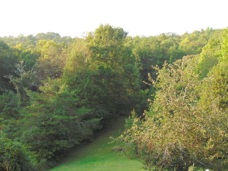 471 Edwards Ln, Rockwood, TN 37854