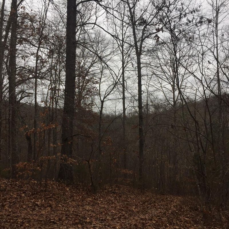 4712 Lewis Rd, Powell, TN 37849
