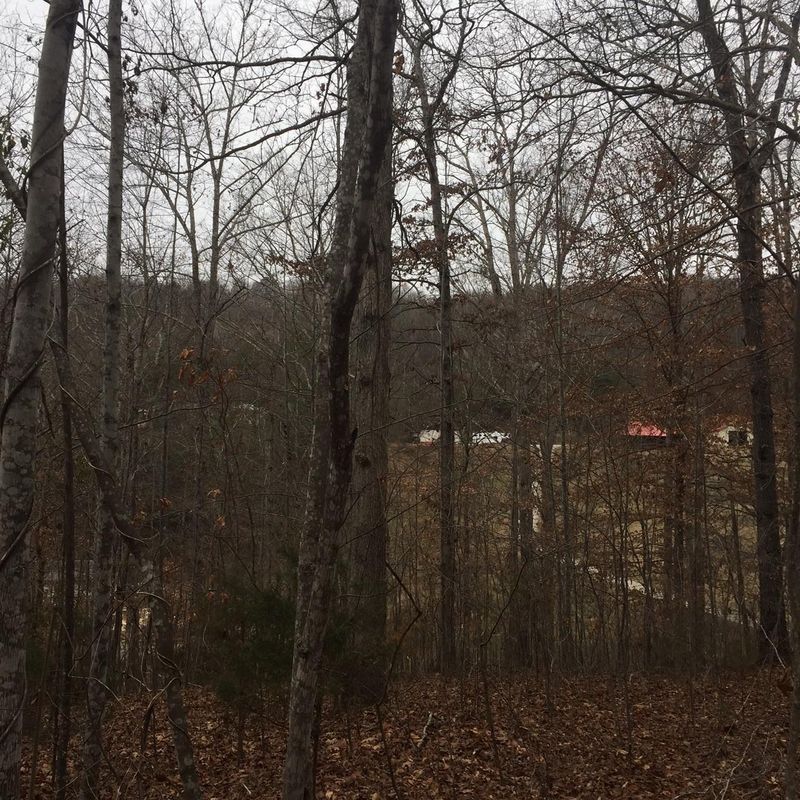 4712 Lewis Rd, Powell, TN 37849