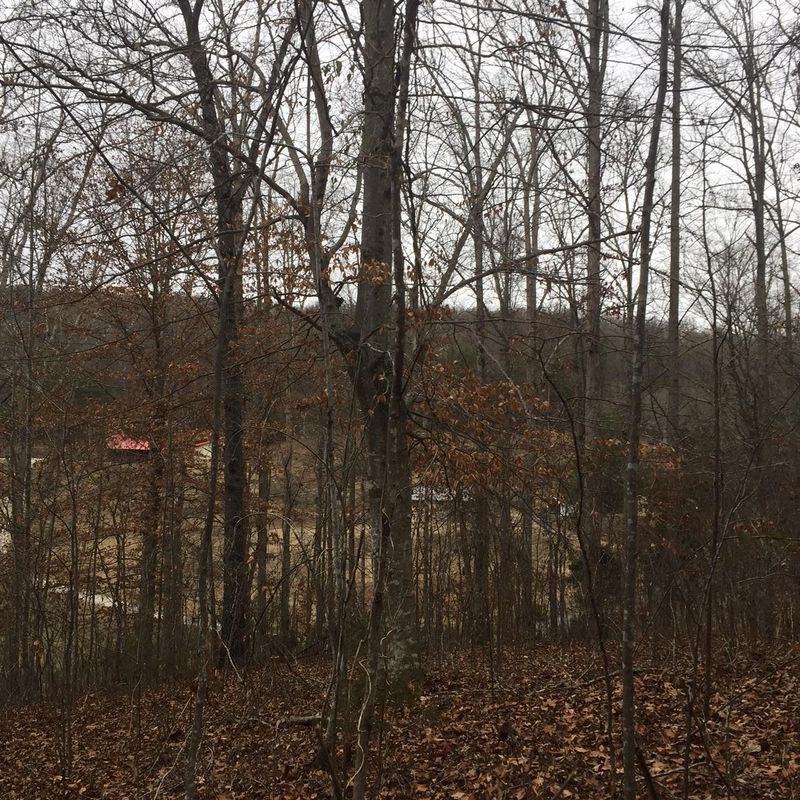 4712 Lewis Rd, Powell, TN 37849
