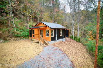 4715 Tiger Lilly Dr, Cosby, TN 37722