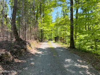 4716 Fred Jennings Rd, Walland, TN 37886