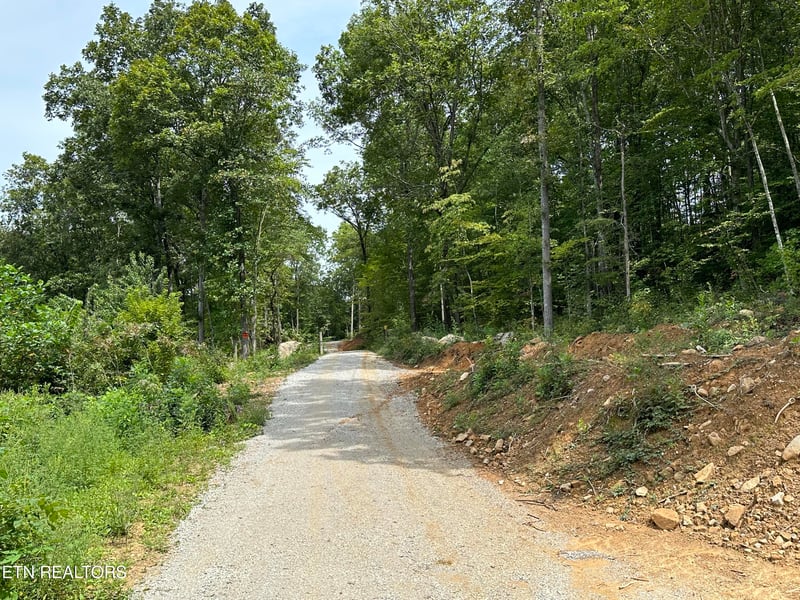 4724 Highway 297, Newcomb, TN 37819