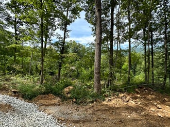 4724 Highway 297, Newcomb, TN 37819