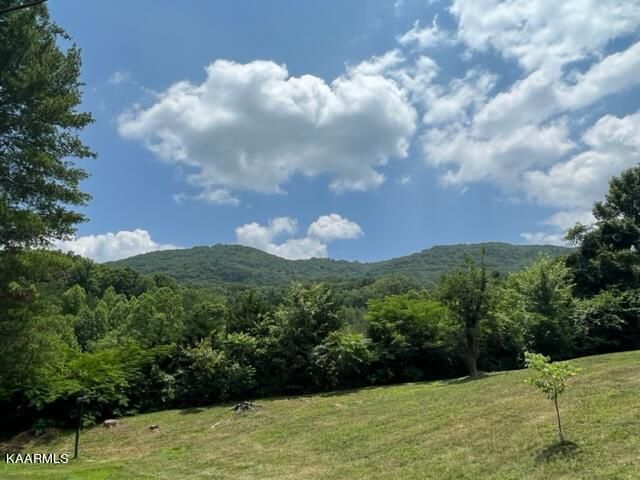 4738 Nebo Rd, Walland, TN 37886