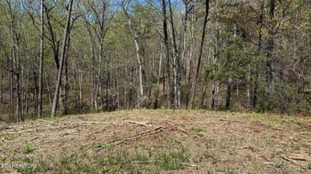 475 Bayside Blvd, Bean Station, TN 37708