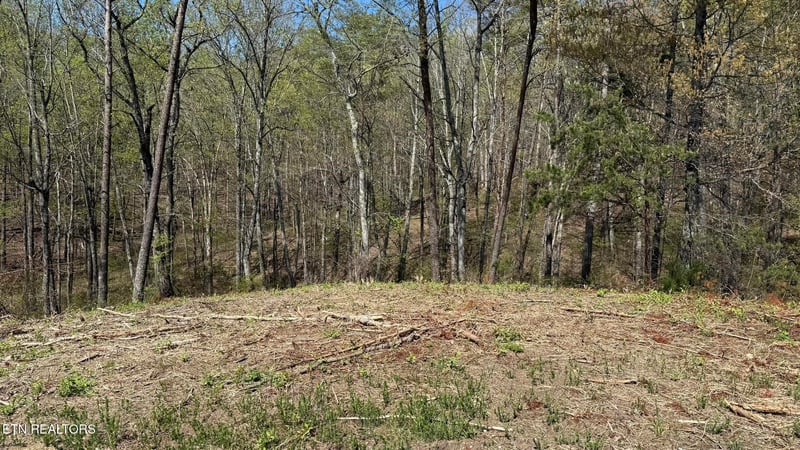 475 Bayside Blvd, Bean Station, TN 37708
