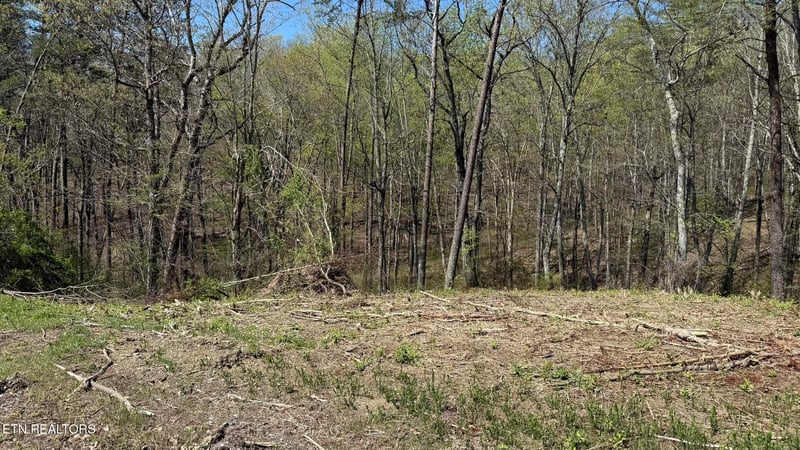 475 Bayside Blvd, Bean Station, TN 37708