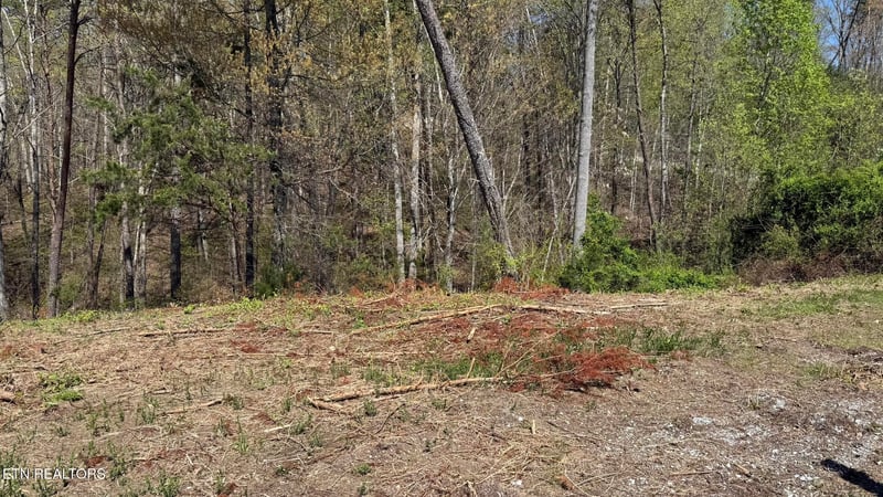 475 Bayside Blvd, Bean Station, TN 37708