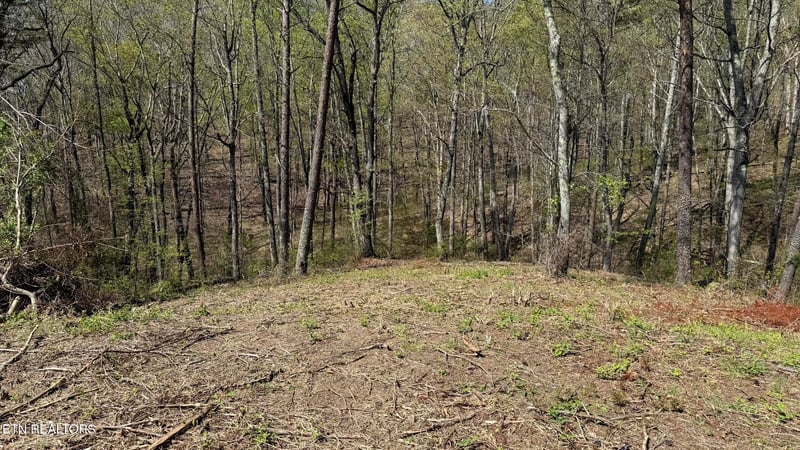 475 Bayside Blvd, Bean Station, TN 37708