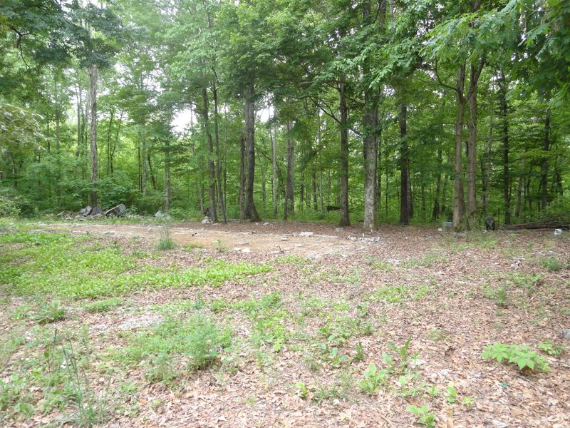 4765 Cate Rd, Strawberry Plains, TN 37871