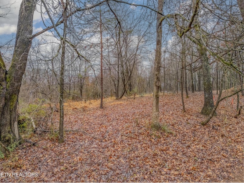 479 Black Oak Rd, Clinton, TN 37716