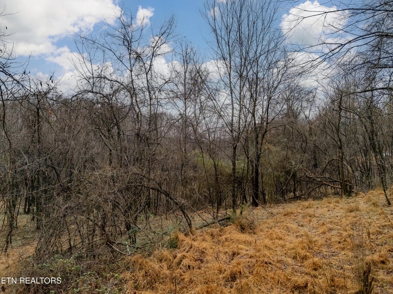 479 Black Oak Rd, Clinton, TN 37716