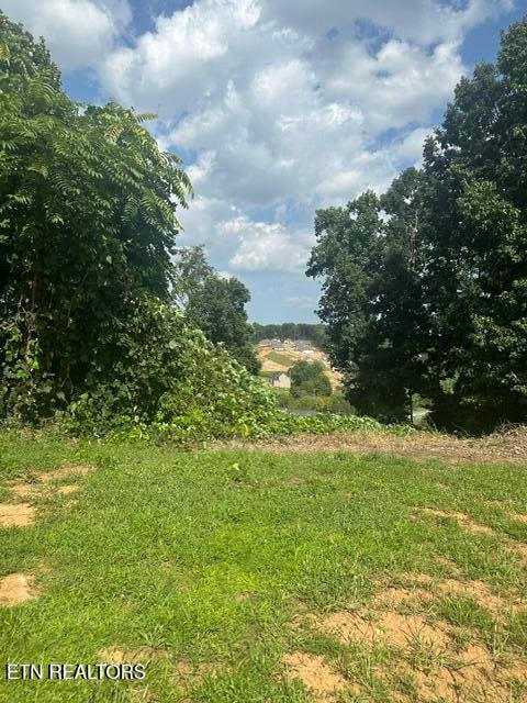 480 Laurel Ridge Ln, Knoxville, TN 37922