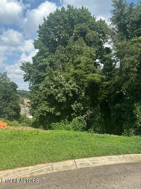 480 Laurel Ridge Ln, Knoxville, TN 37922