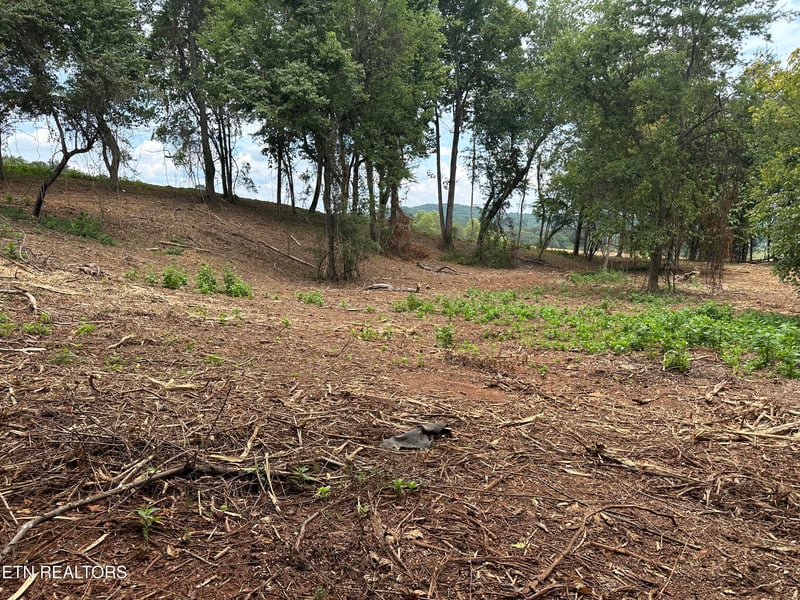 4802 Old Dogwood Tr, Loudon, TN 37774