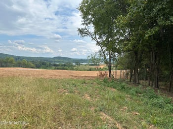 4802 Old Dogwood Tr, Loudon, TN 37774