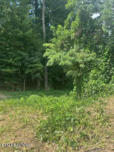 481 Laurel Ridge Ln, Knoxville, TN 37922