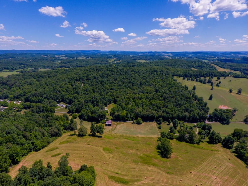 482 Cabbage Rd, Blaine, TN 37709