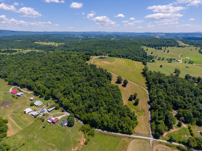 482 Cabbage Rd, Blaine, TN 37709