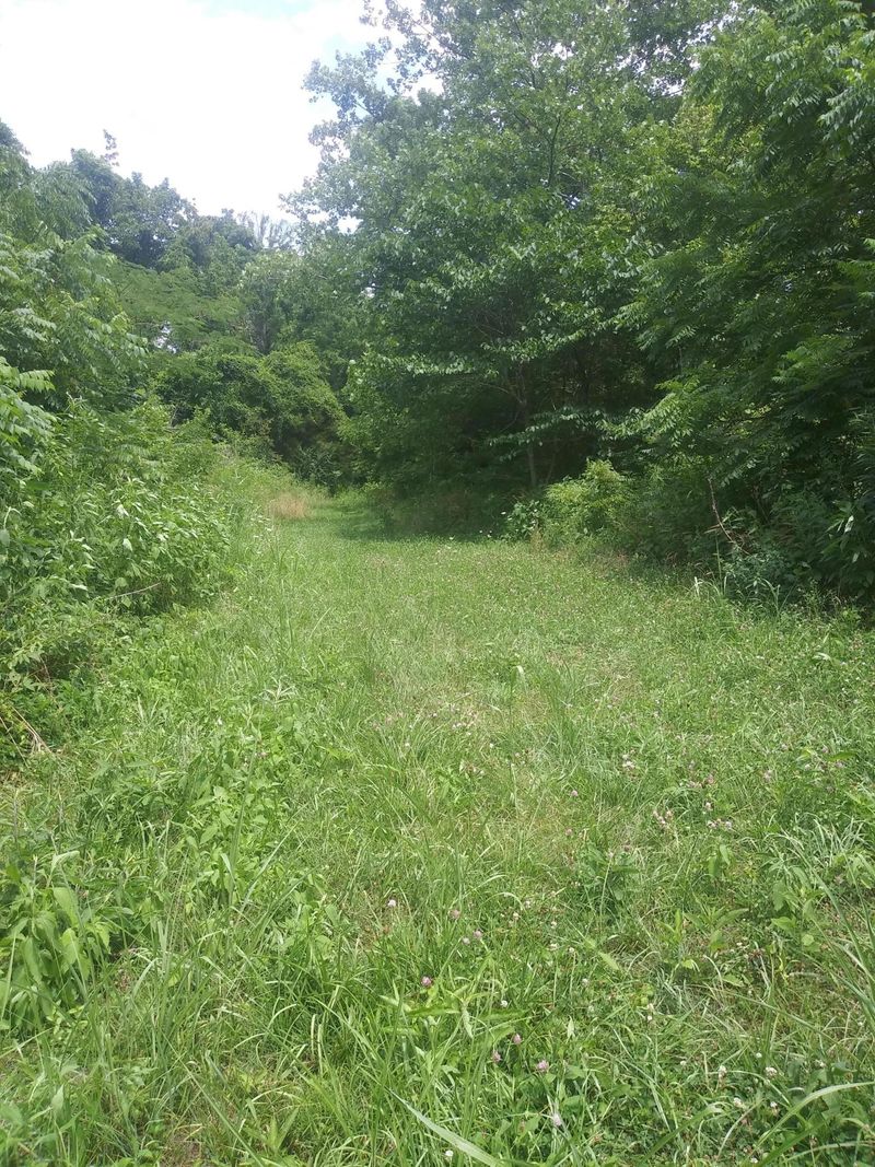 482 Satterfield Rd, Luttrell, TN 37779