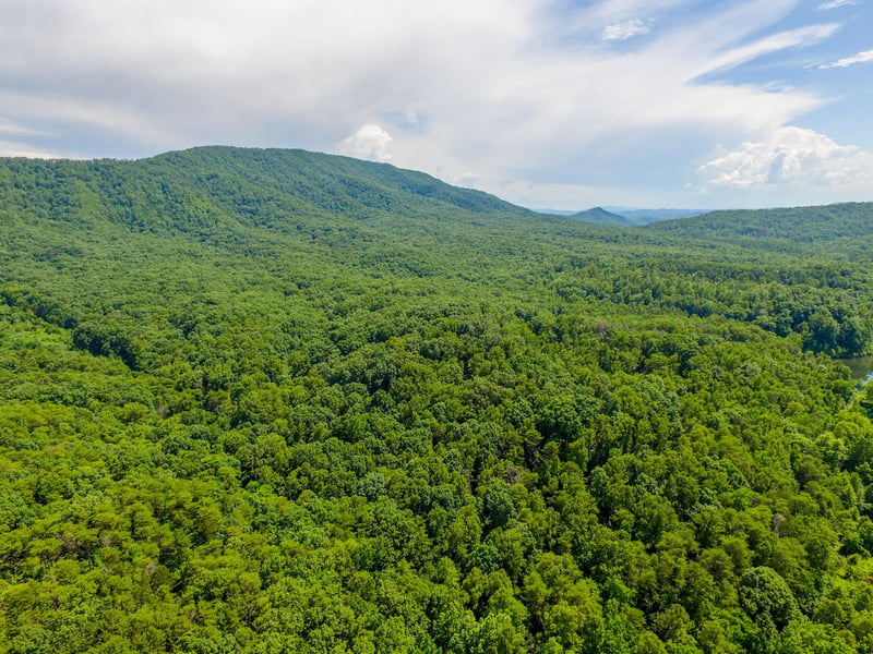 4820 Allegheny Cove Way, Maryville, TN 37803