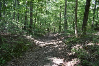 4820 Allegheny Cove Way, Maryville, TN 37803
