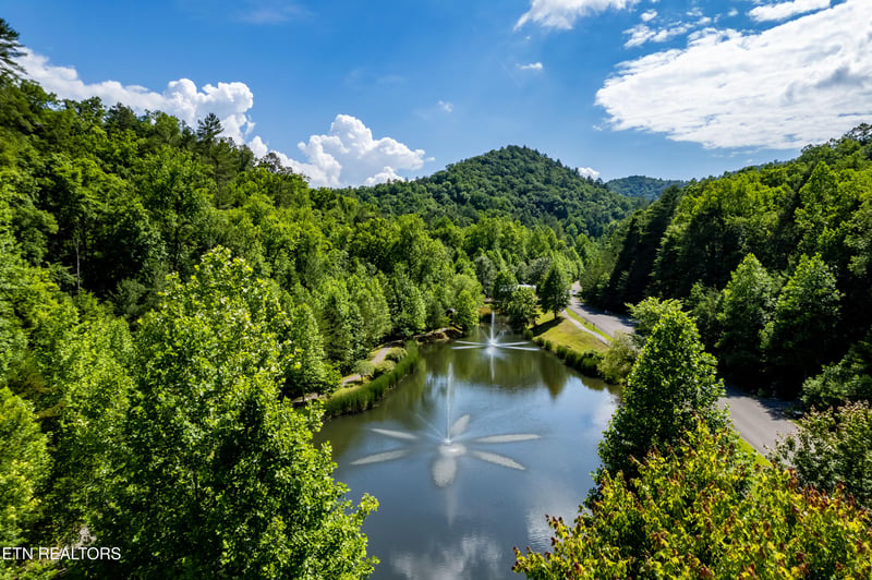 483 Chetola Trl, Townsend, TN 37882