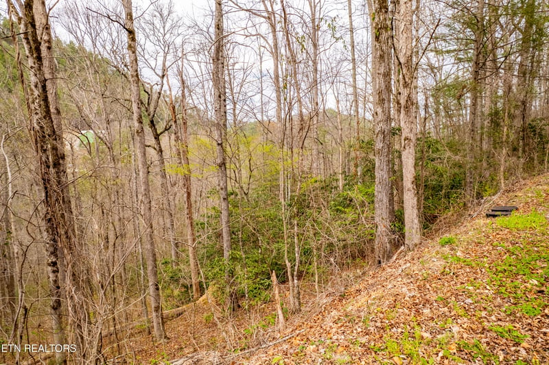 483 Chetola Trl, Townsend, TN 37882