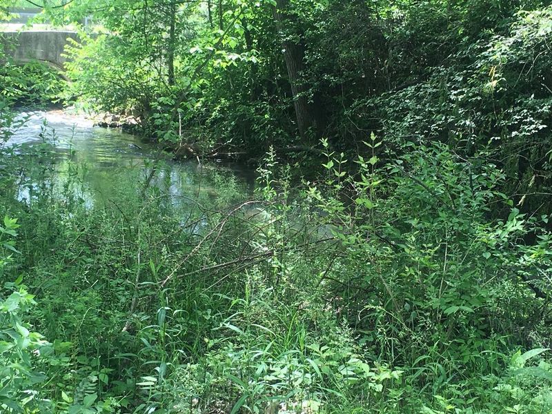 4833 Salem Rd, Greenback, TN 37742