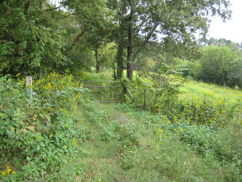 4837 Wildwood Rd, Maryville, TN 37804