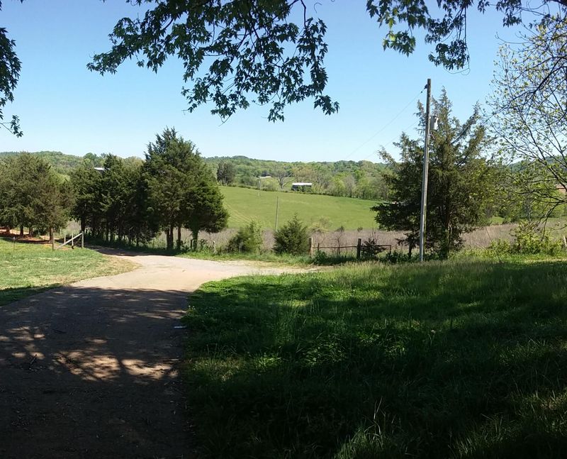 487 Seed Tick Rd, Philadelphia, TN 37846