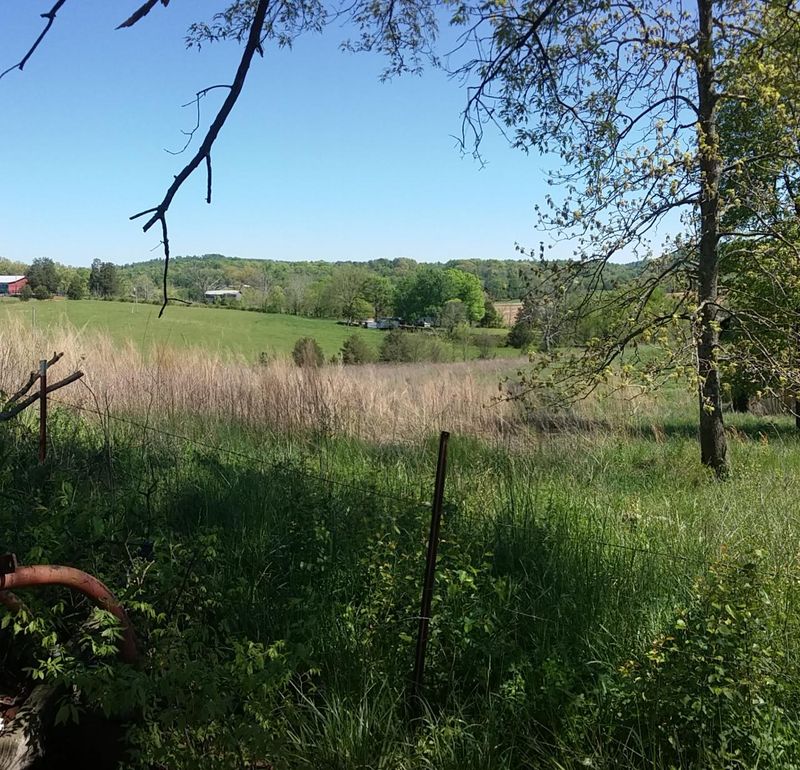 487 Seed Tick Rd, Philadelphia, TN 37846