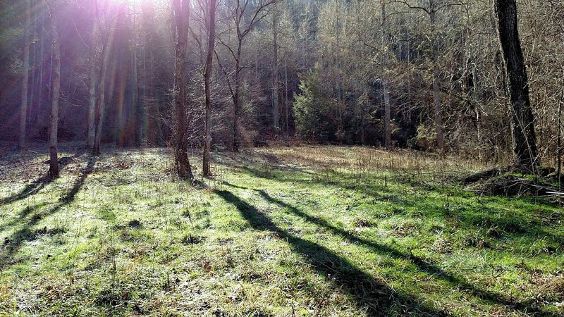4876 Pearl Valley Rd, Sevierville, TN 37876