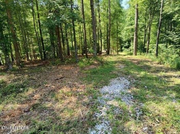 488 Ashe Cabin Hollow Rd, Harriman, TN 37748