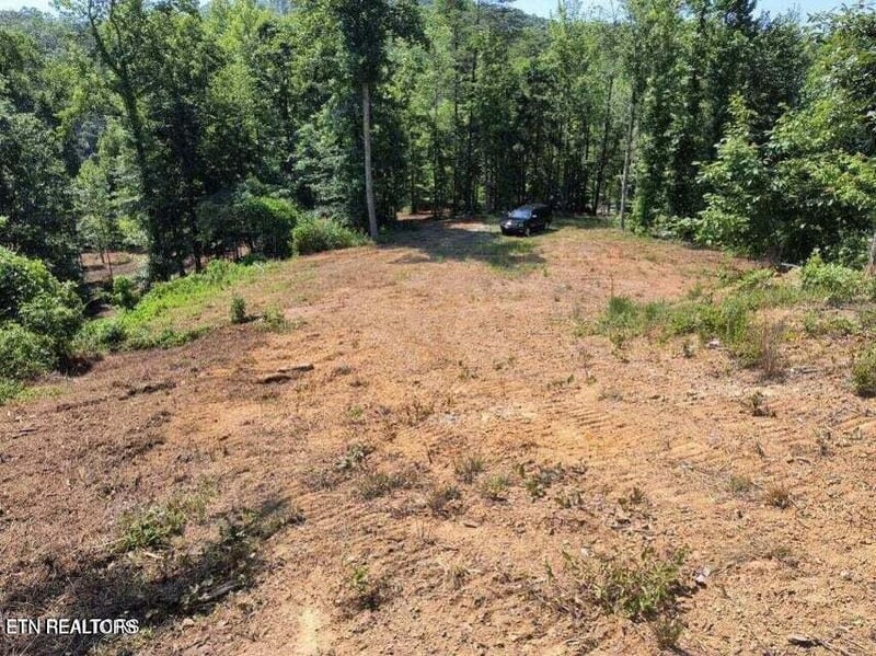 488 Ashe Cabin Hollow Rd, Harriman, TN 37748