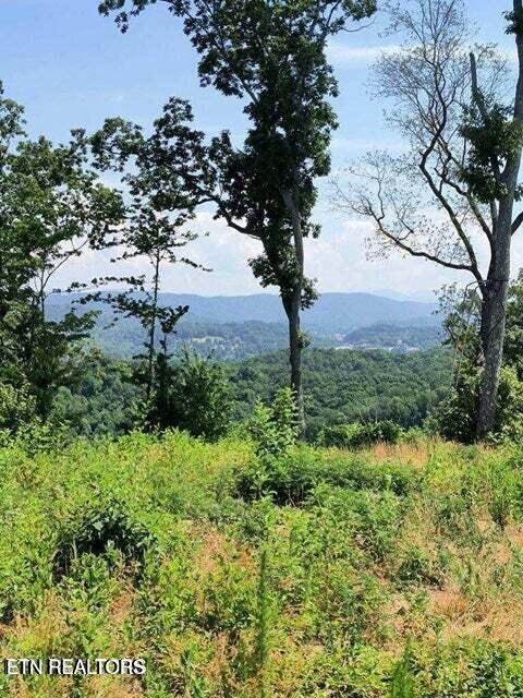 488 Ashe Cabin Hollow Rd, Harriman, TN 37748