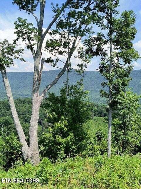 488 Ashe Cabin Hollow Rd, Harriman, TN 37748