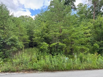 49 Bayside Blvd, Bean Station, TN 37708