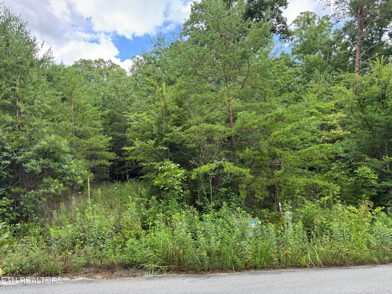 49 Bayside Blvd, Bean Station, TN 37708